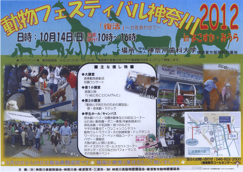 animal-festival-flyer