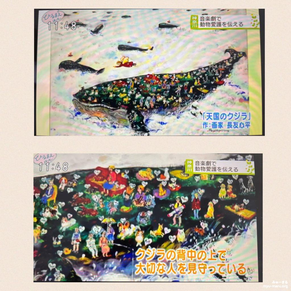 NHK「ひるまえほっと」天国のクジラ