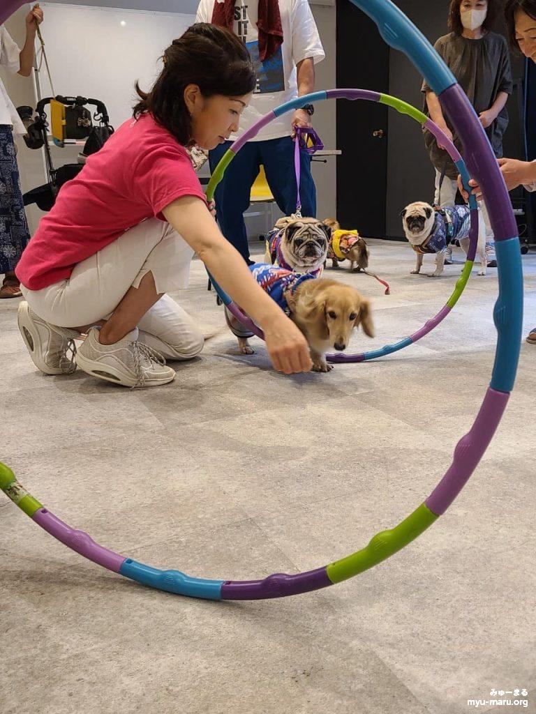 みゅーまるアニマルセラピー再開