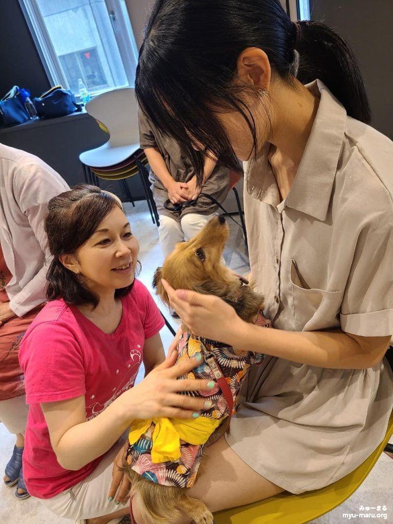 みゅーまるのセラピー犬