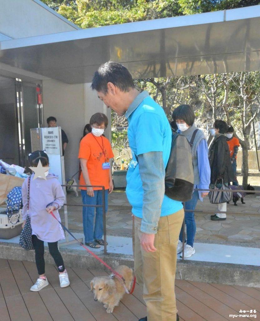 みゅーまるのセラピー犬