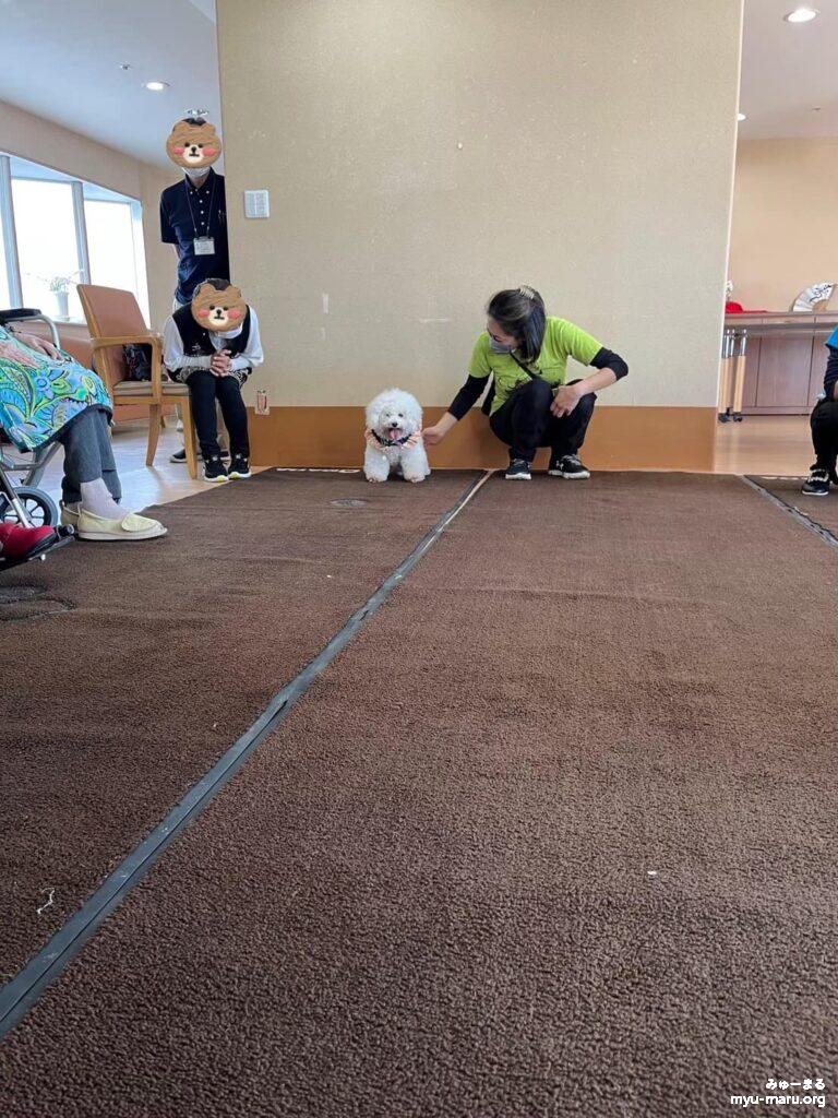 2024年1月12日(金)動物達と高齢者施設訪問、セラピー犬ソフィー