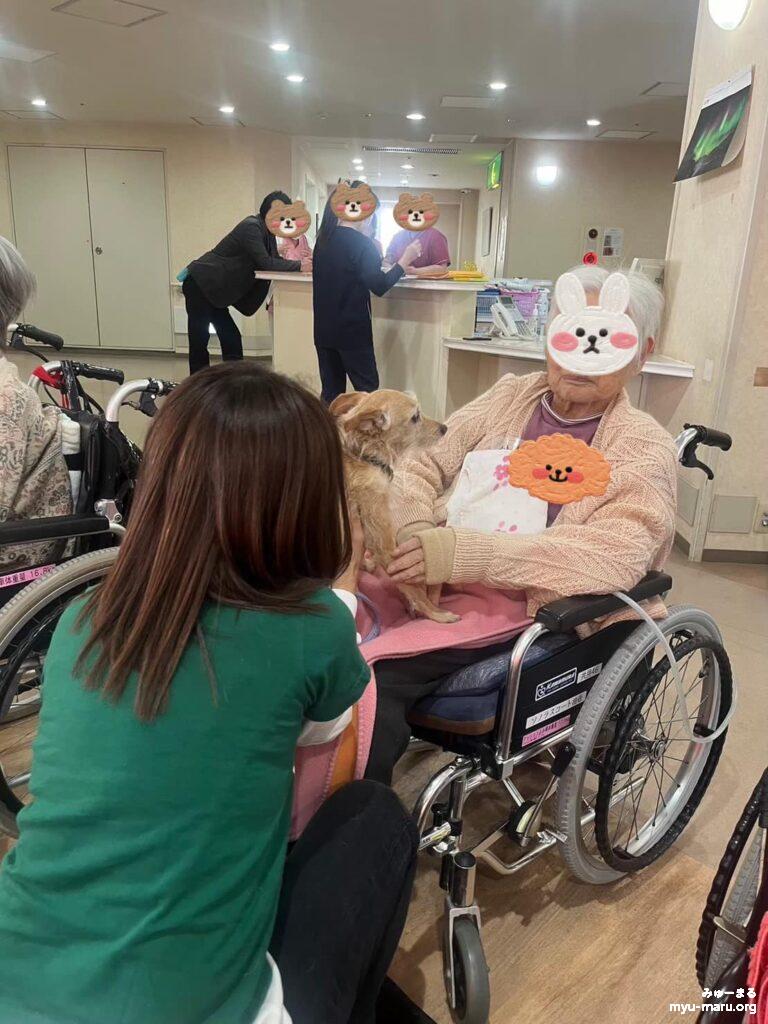 2024年1月12日(金)動物達と高齢者施設訪問、セラピー犬